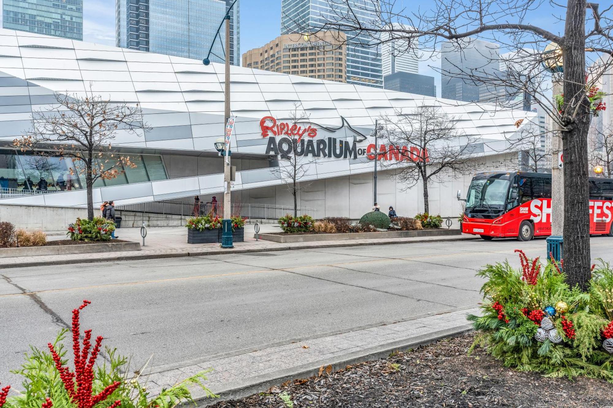 Spadina Modern Suites Toronto Eksteriør bilde
